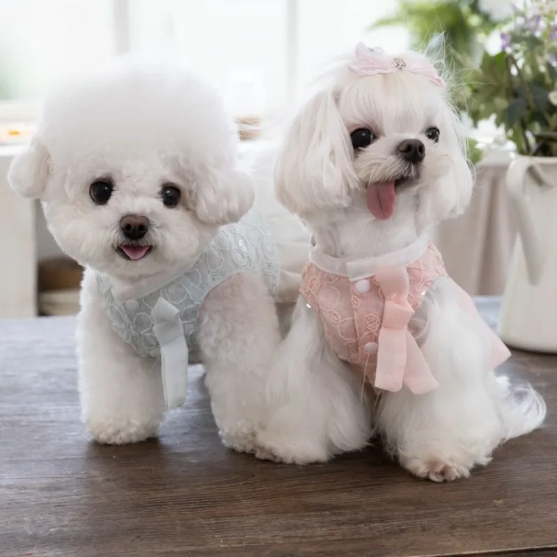 Detalle de bordado de primavera en vestido para mascotas