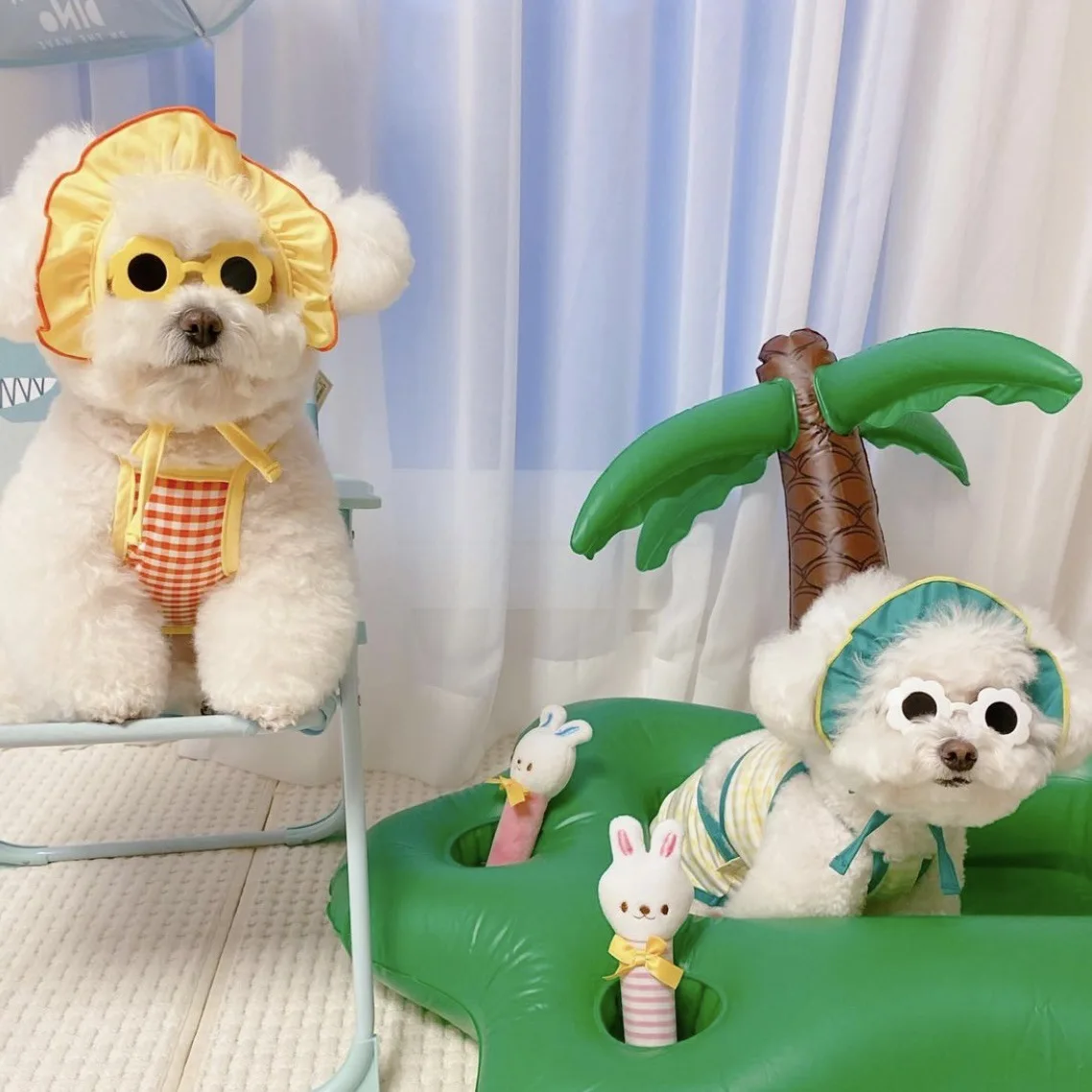 Mascota usando gafas - girasol