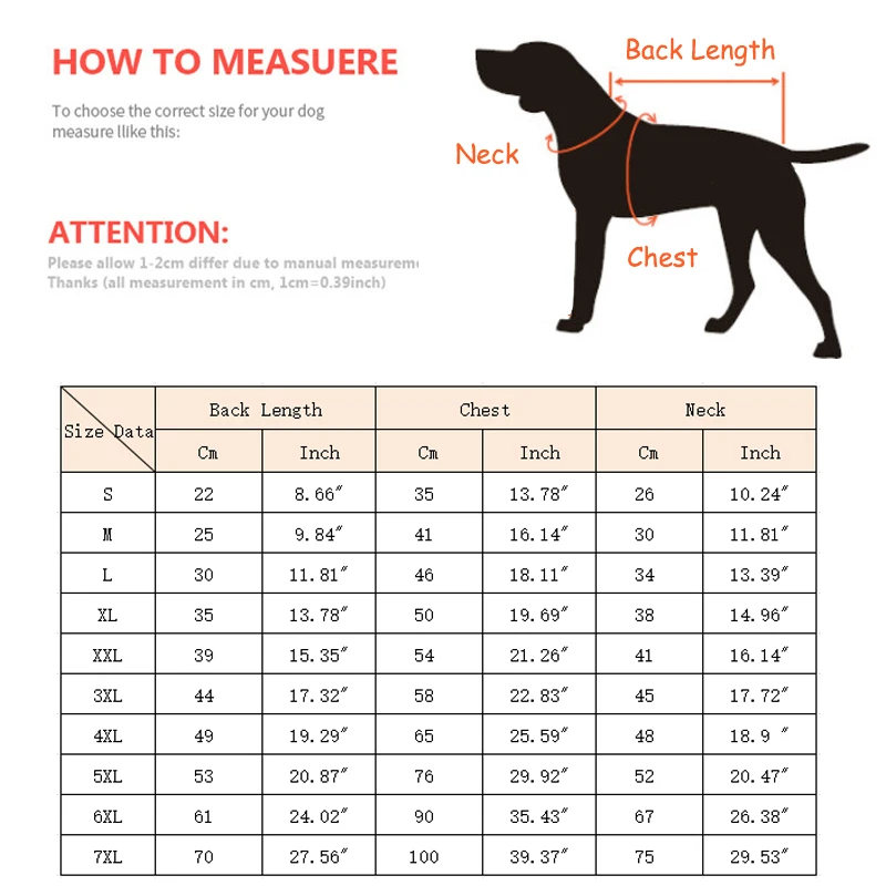 Perro con chaqueta impermeable en exterior