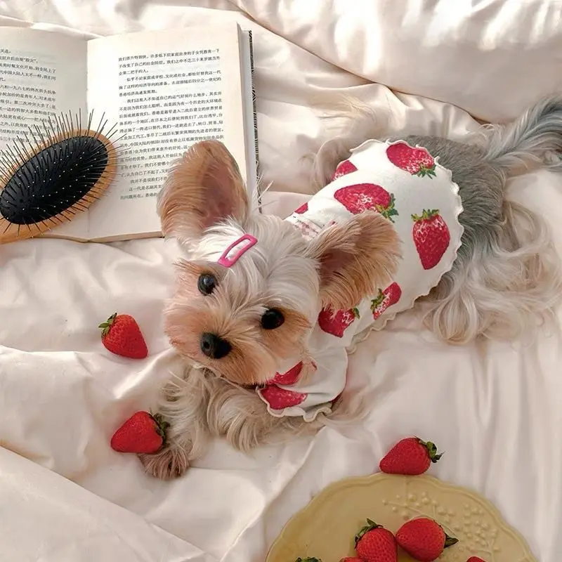 Mascota con look floral