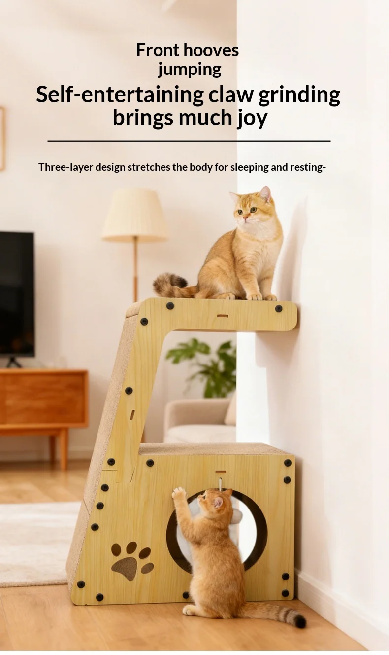 Vista general del rascador y cama multifuncional para gatos