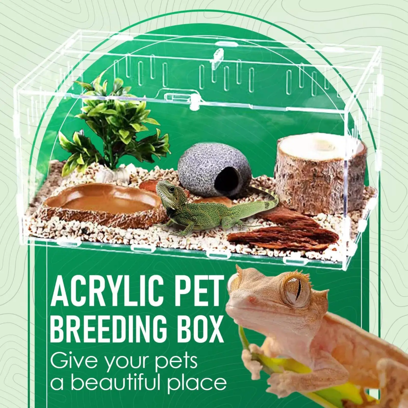 Terrario acrílico alta visibilidad para reptiles – Caja de cría segura