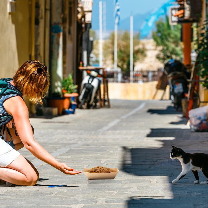 Uso en clínica veterinaria o tienda de mascotas