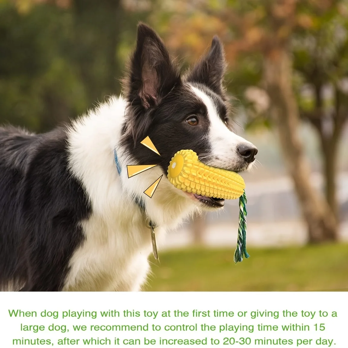 Juguete de masticar para perros