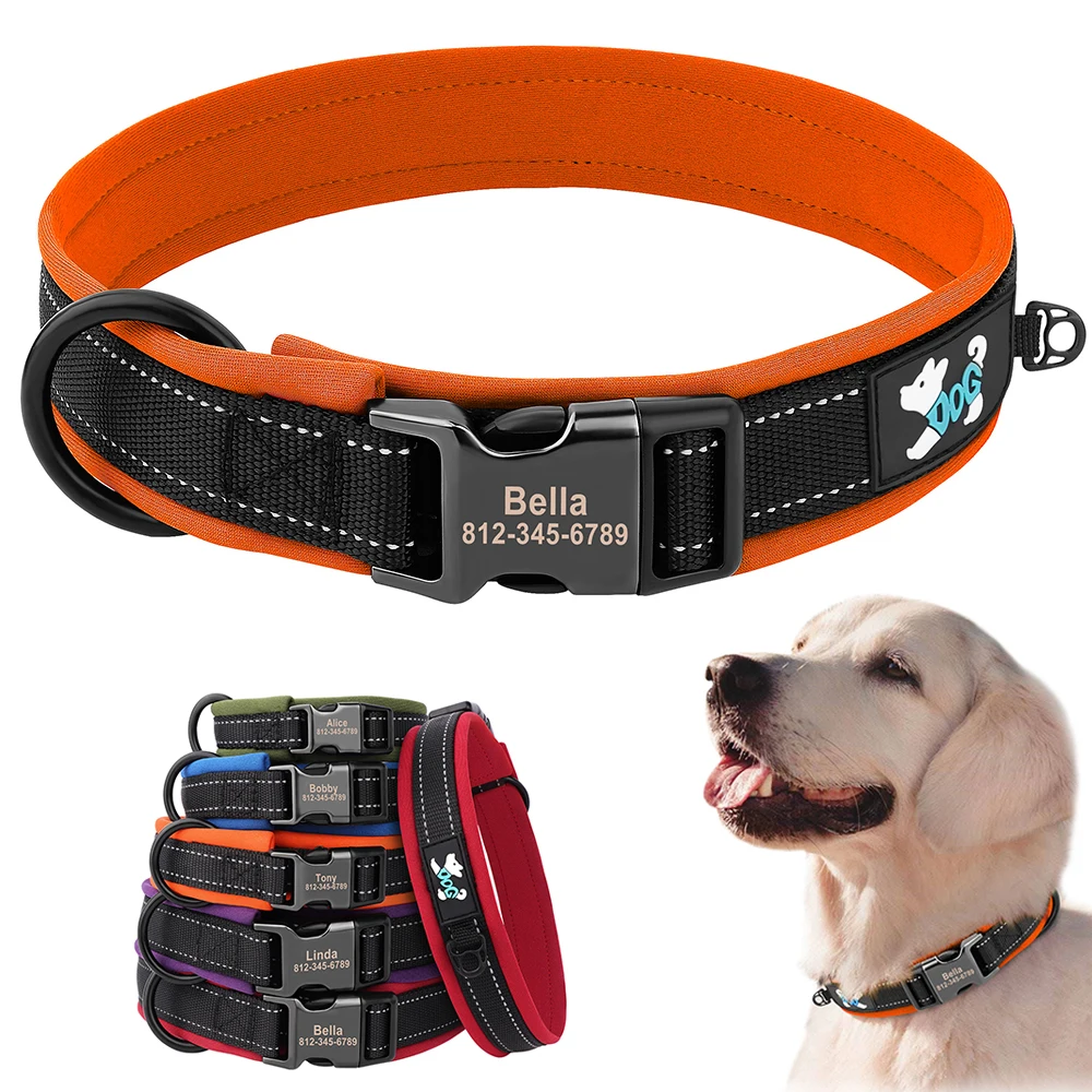Collar ajustable en perro de raza mediana