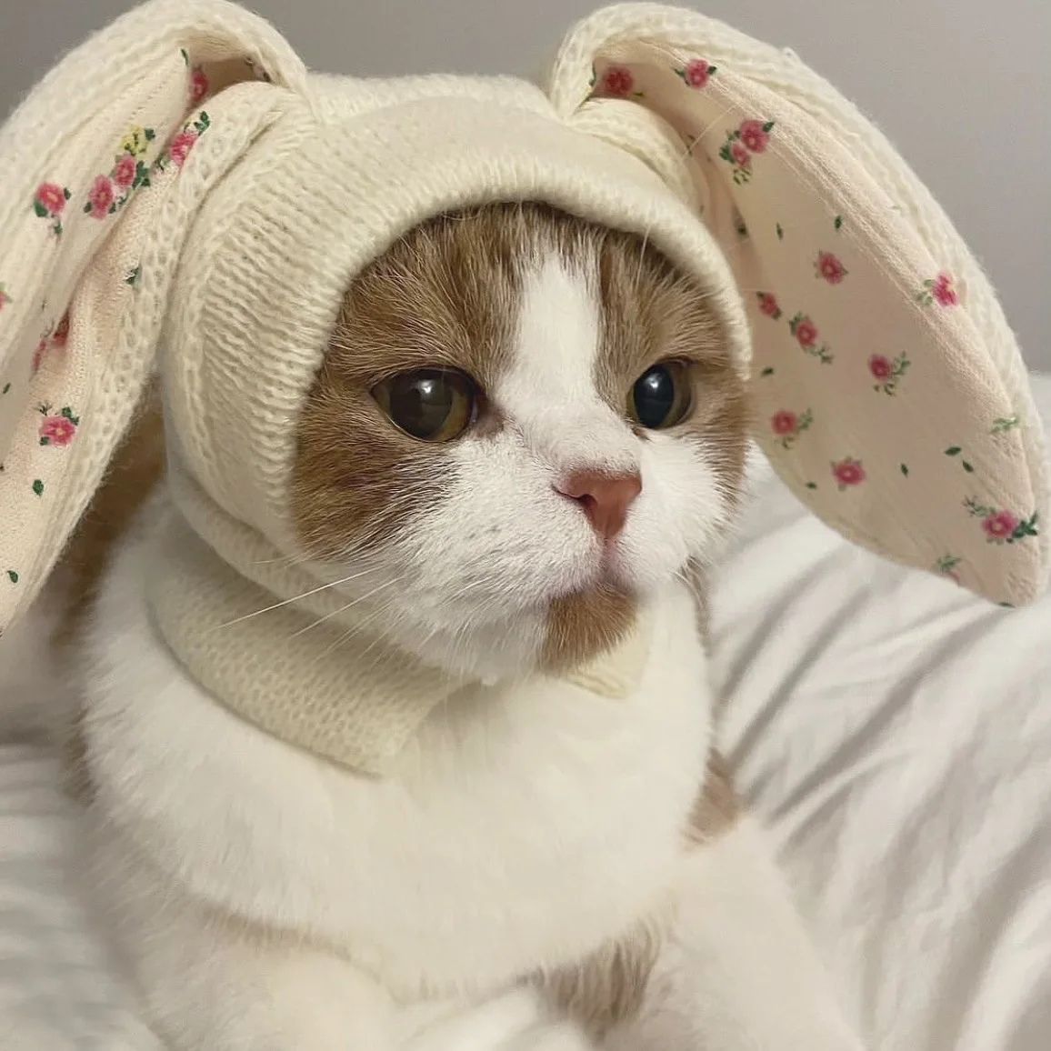 Gorro tejido con orejas de conejo en tamaño S