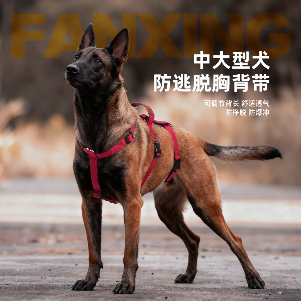 Correa de tracción con arnés de pecho antirrotura para perros - imagen 5