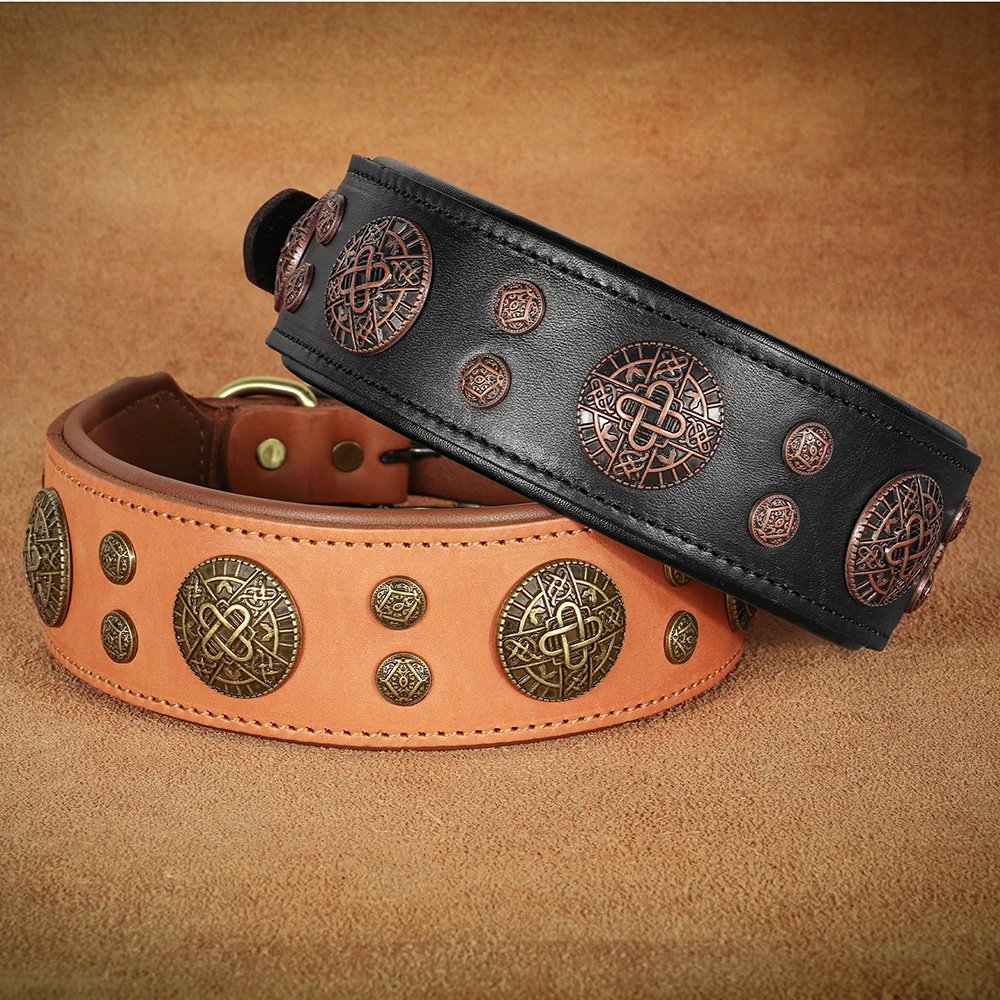 Collar con púas y tachuelas sobre fondo oscuro