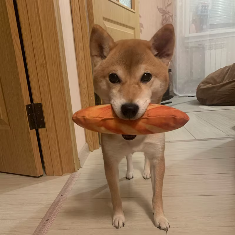 Hueso de ternera chirriante para perros y gatos – Juguete masticable - imagen 5