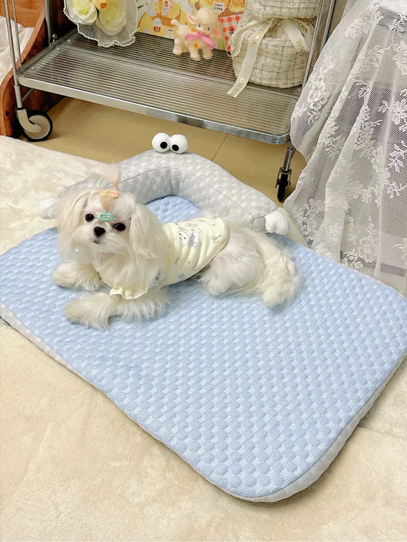 Cama ortopédica refrescante vista superior con mascota descansando