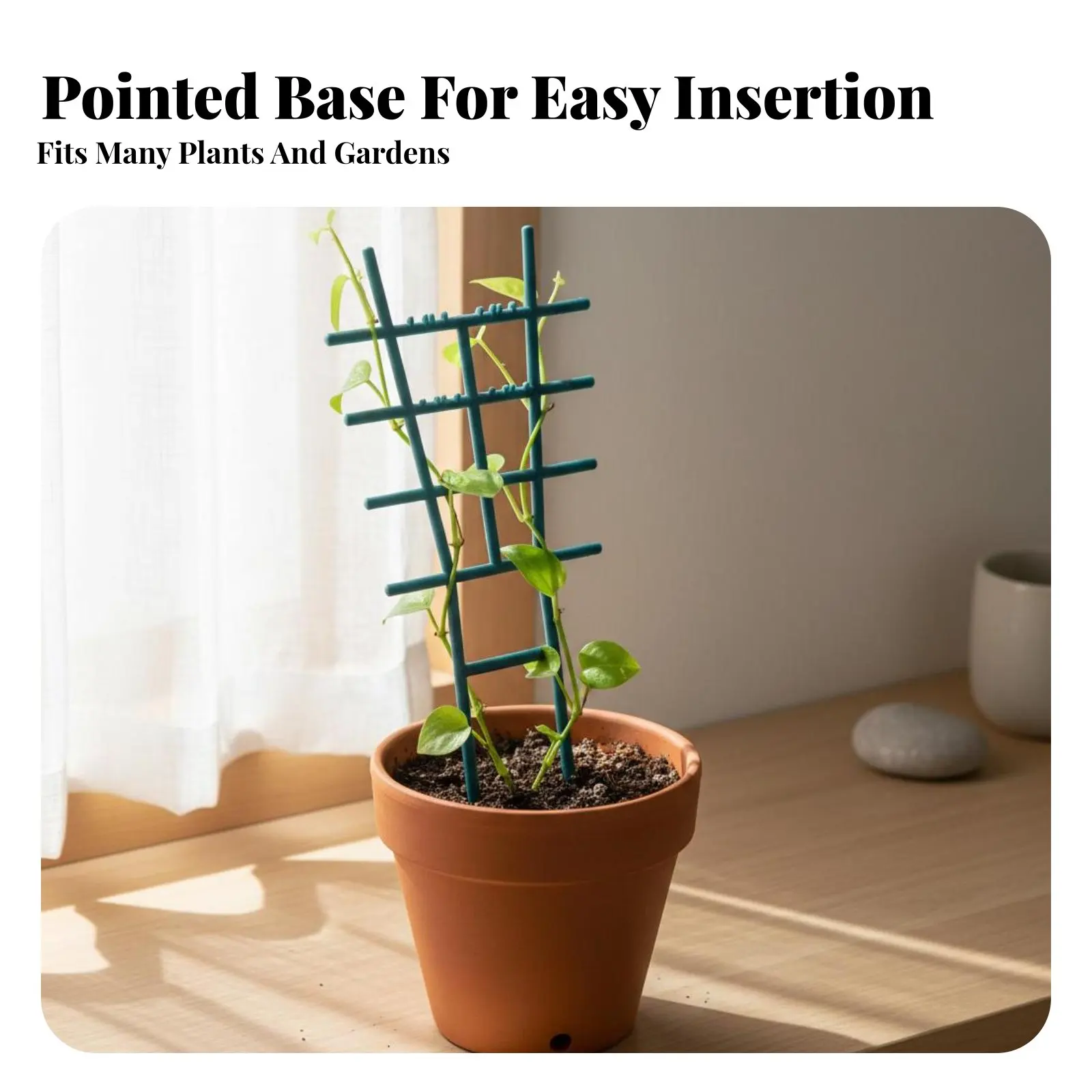 Soporte rejilla para plantas trepadoras en maceta, gatos y perros - imagen 2