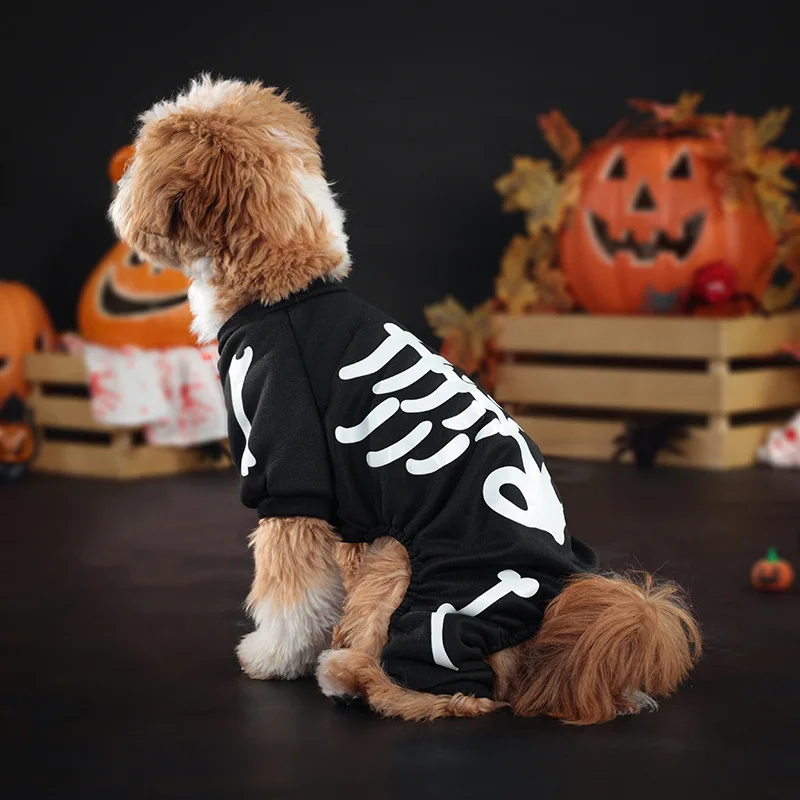 Perro modelo talla mediana usando el traje completo
