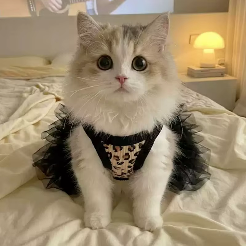 Vestido tutú de leopardo para poodles, chihuahuas y gatos - imagen 2