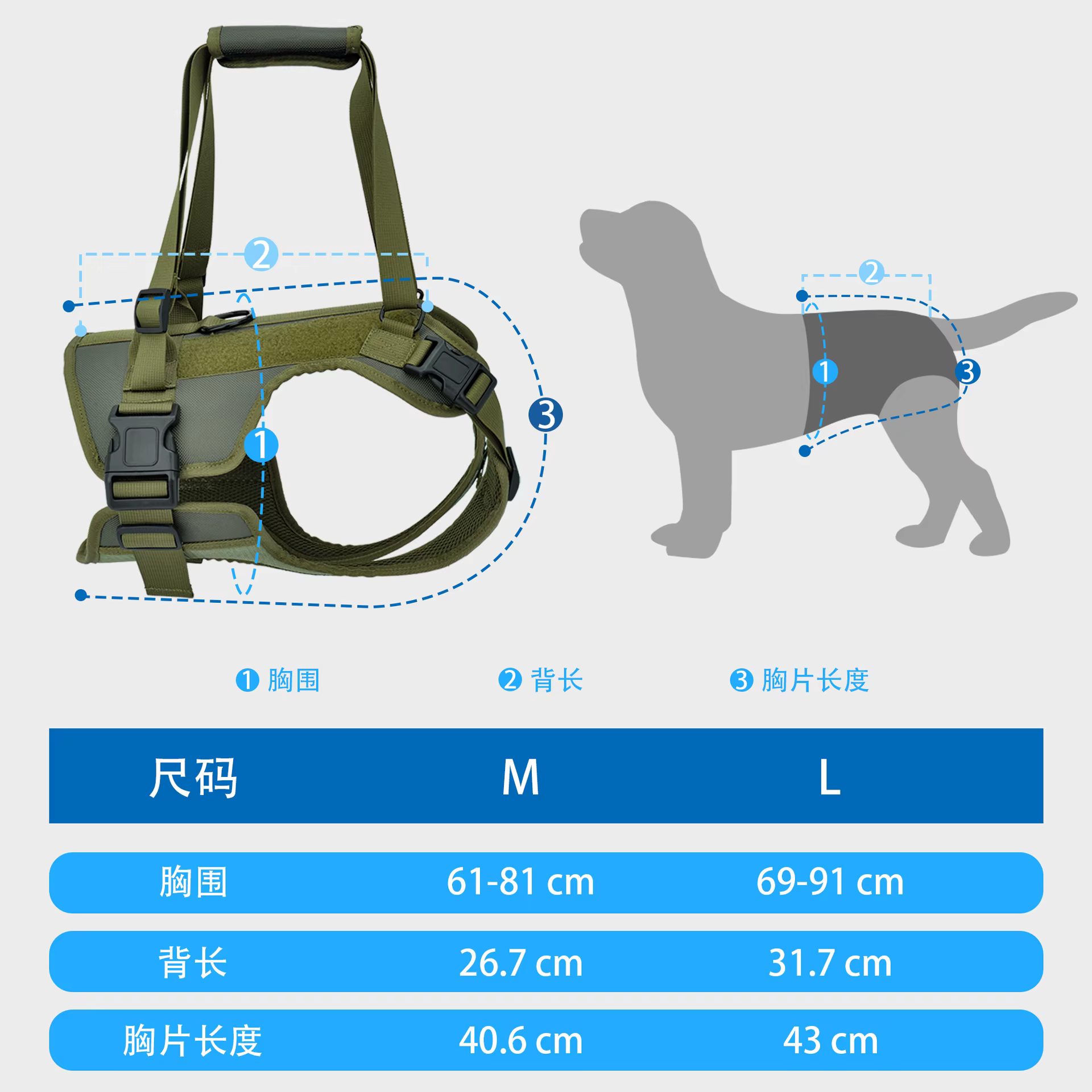 Arnés de Soporte para Patas de Perro – Rehabilitación y Movilidad Reducida - imagen 2
