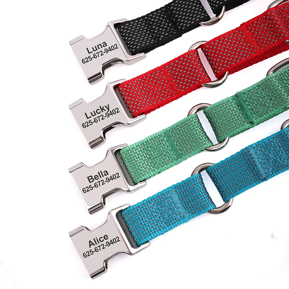 Variedad de colores disponibles para collar martingale personalizado