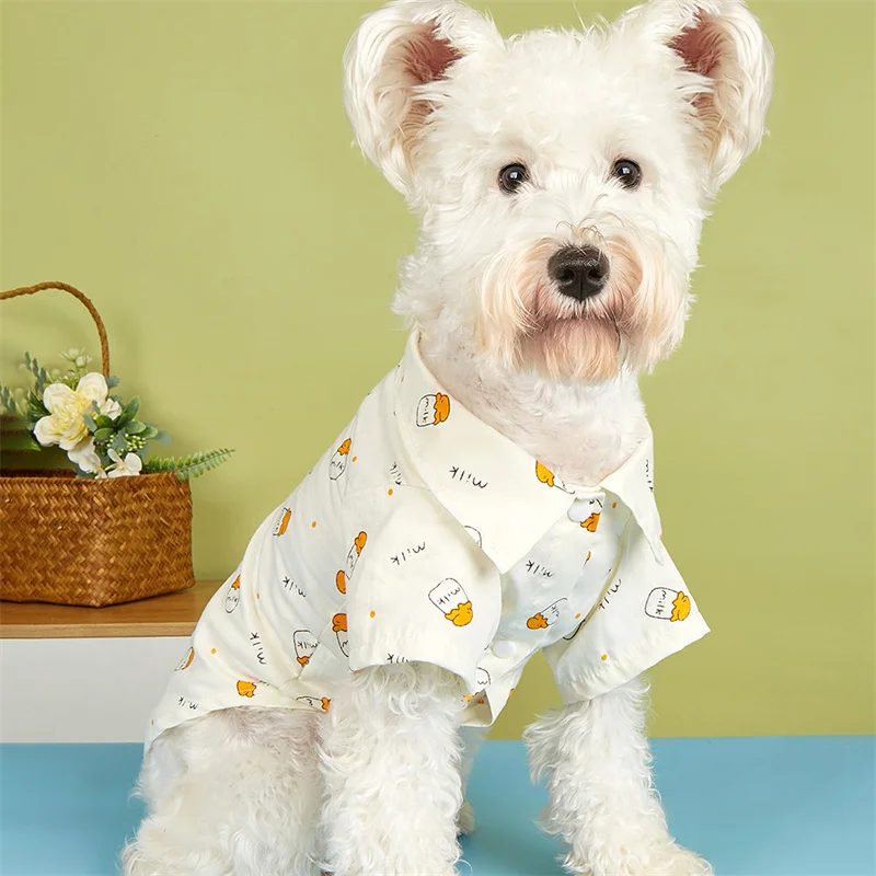 Camiseta de verano para gatos con diseño divertido