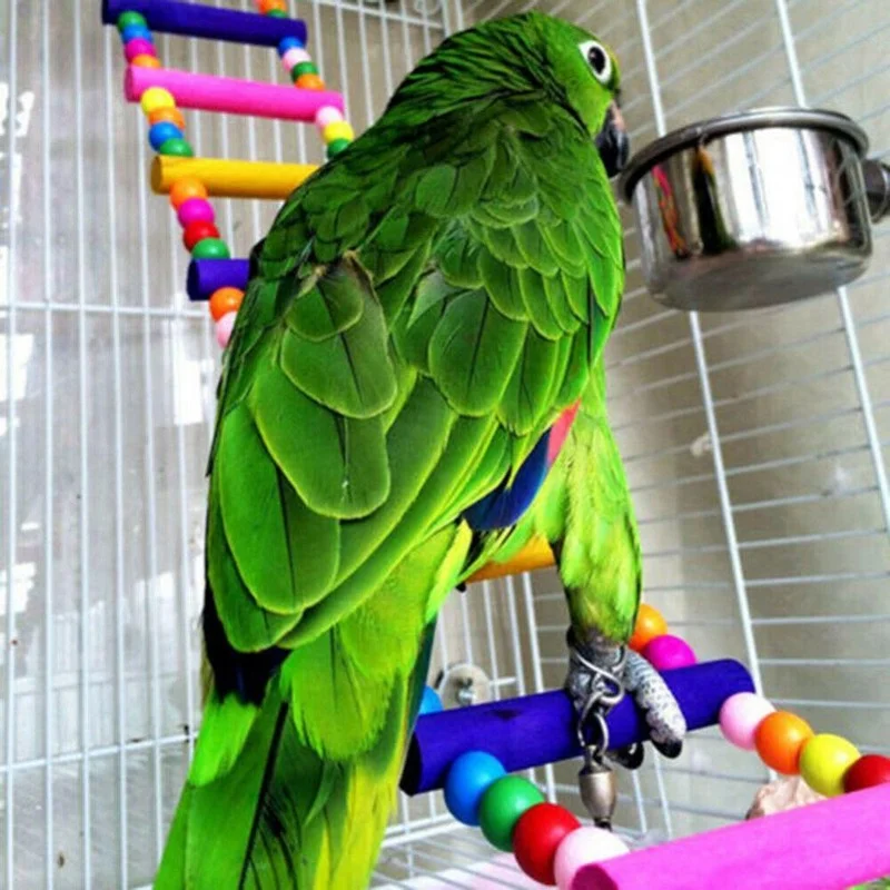 Puente de escalera multicolor para pájaros de madera natural