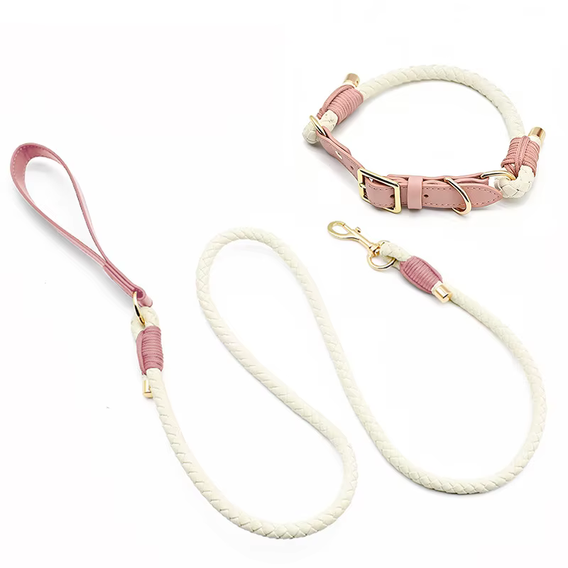 Collar y correa trenzados para perro – Paseo y adiestramiento - imagen 4