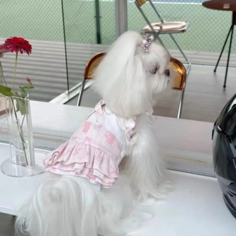 Talla S del conjunto para perro pequeño