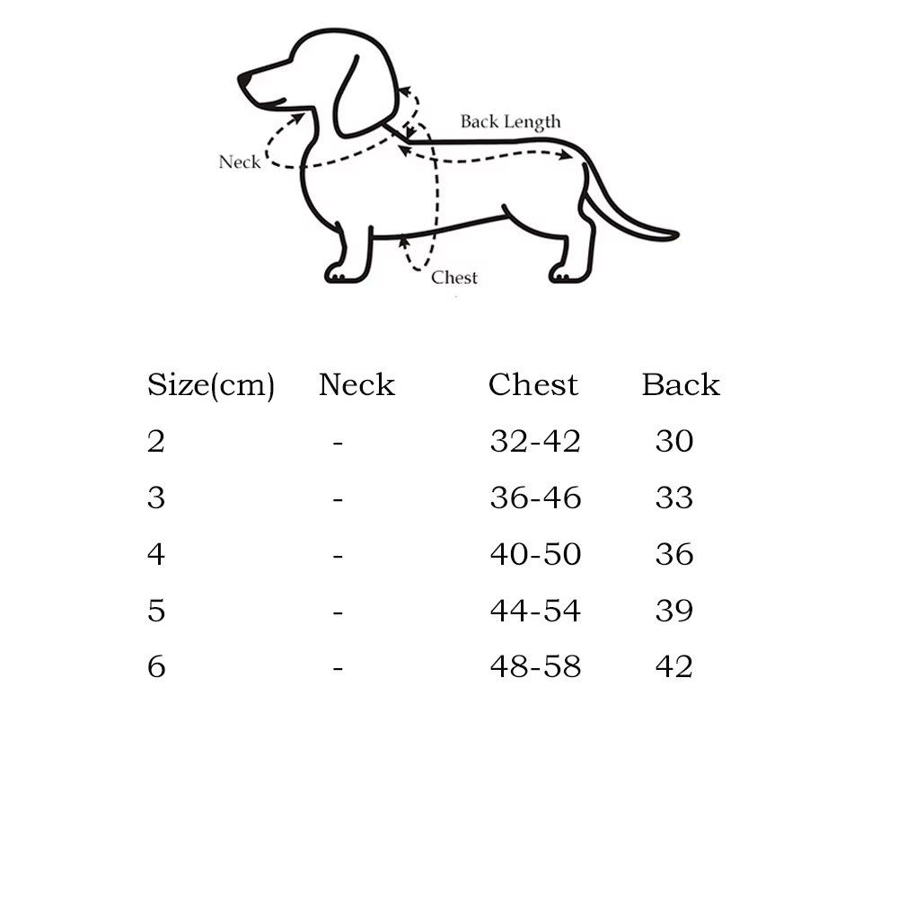 Chaleco sin mangas y pantalón para Dachshund, ropa de verano - imagen 5