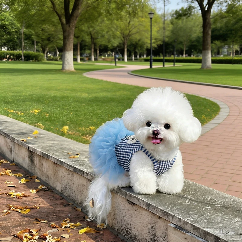 Falda tutú con velo para perros pequeños y medianos, vestido verano - imagen 3