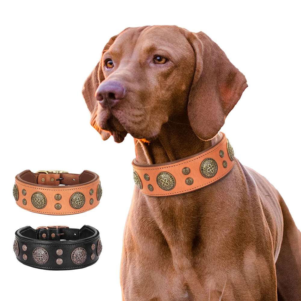Collar de cuero con púas y tachuelas para perro pitbull y bulldog - imagen 2