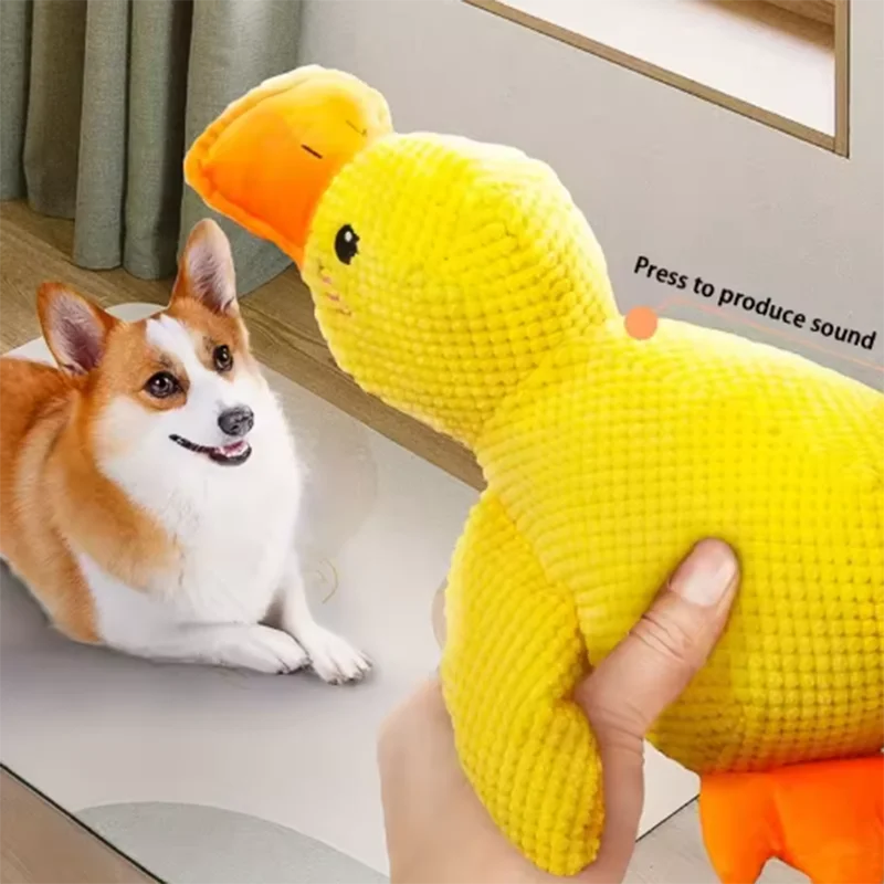 Pato de peluche para dentición canina