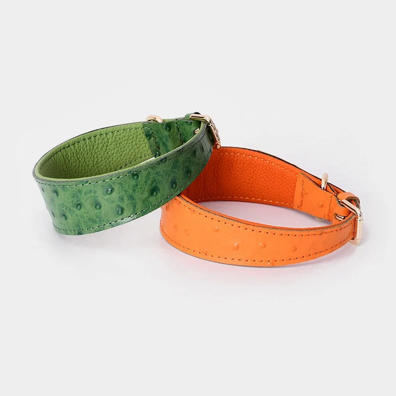 Collar de lujo en tono marrón sobre fondo blanco