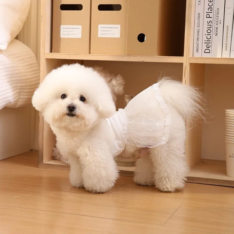 Look veraniego mascota