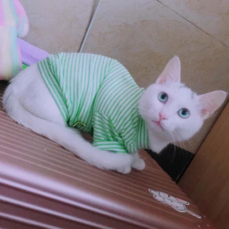 Chaleco de algodón para gatos con rayas - ropa fresca verano