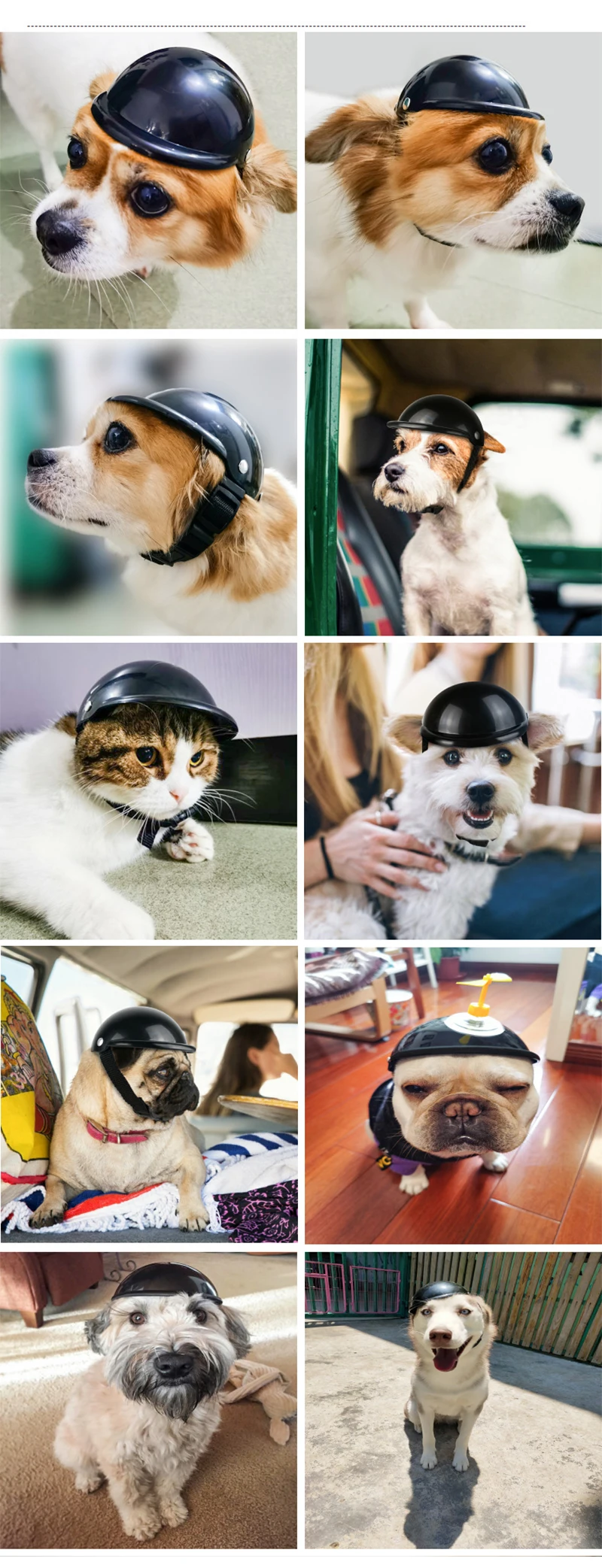 Perro con casco compacto