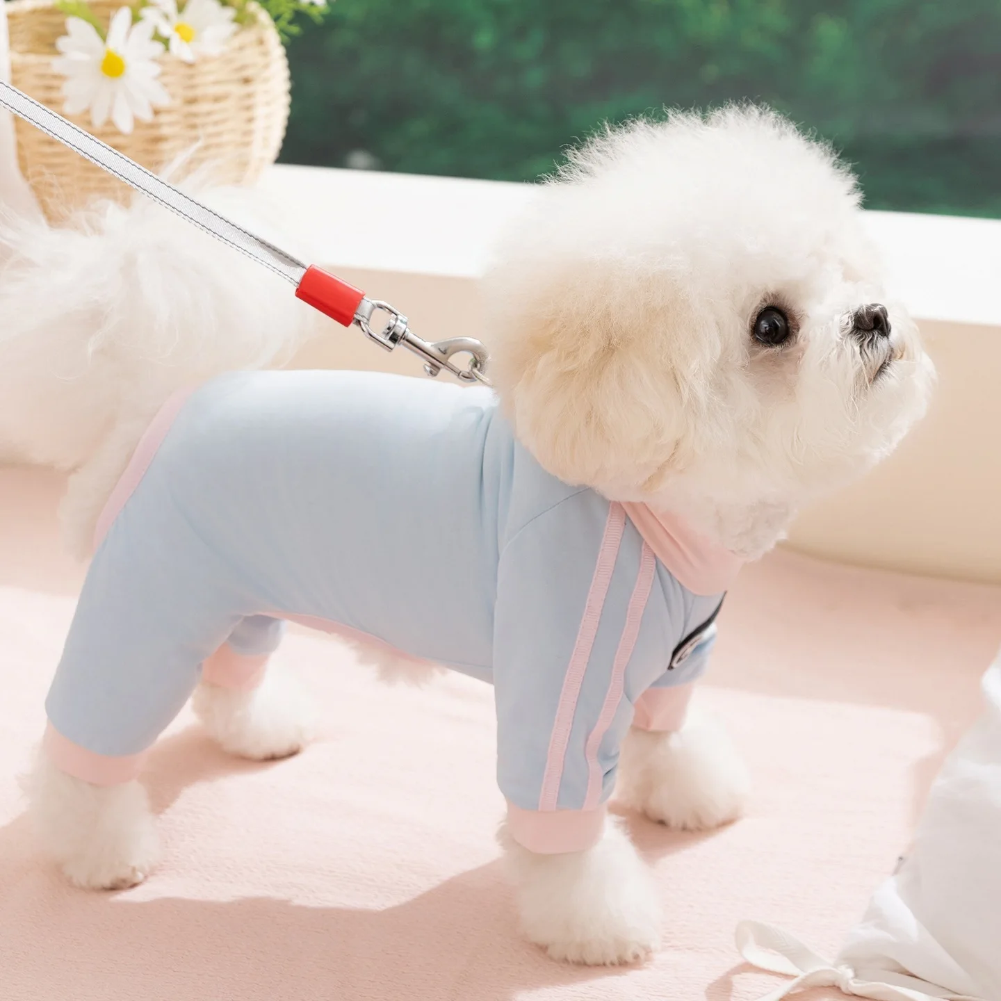 Ropa fresca y transpirable para perros: mono con protección solar - imagen 3