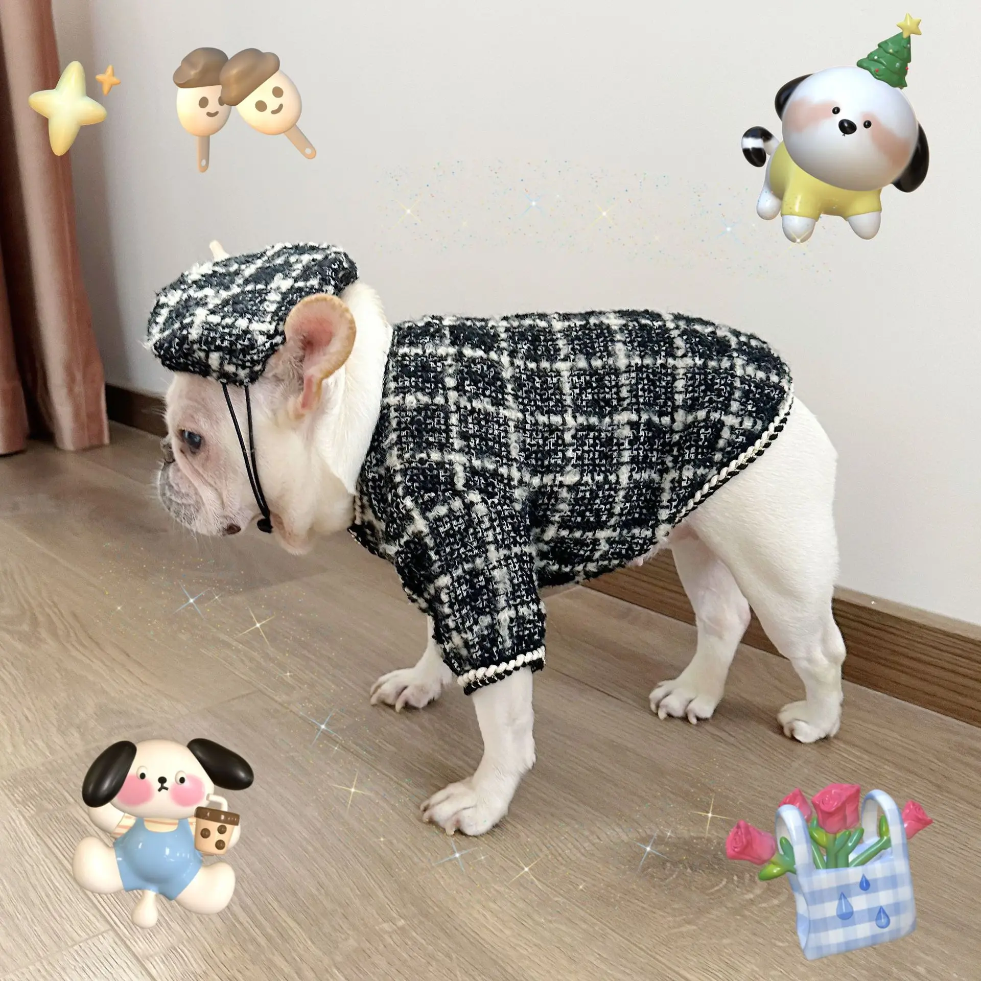 Perro pequeño con el conjunto puesto