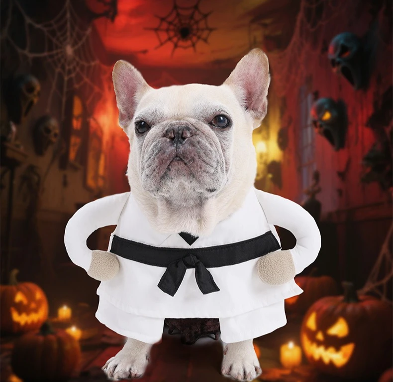 Ropa divertida para perros en casa