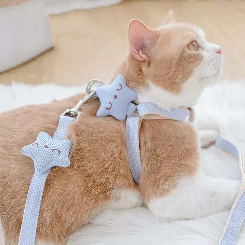 Conjunto arnés y correa transpirable para perro y gato de paseo - imagen 2