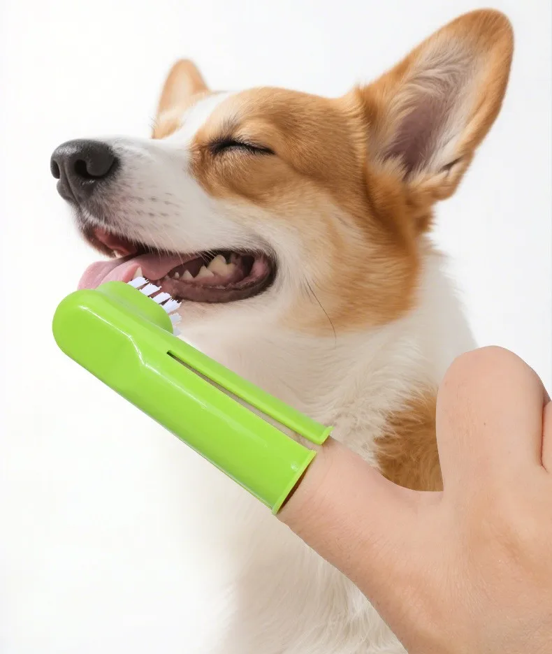 Juego de 3 cepillos de dientes para mascotas