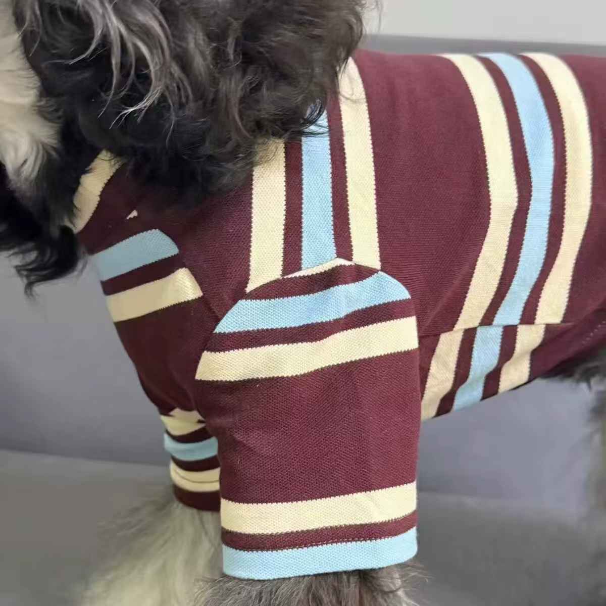 Ropa de verano para perros pequeños