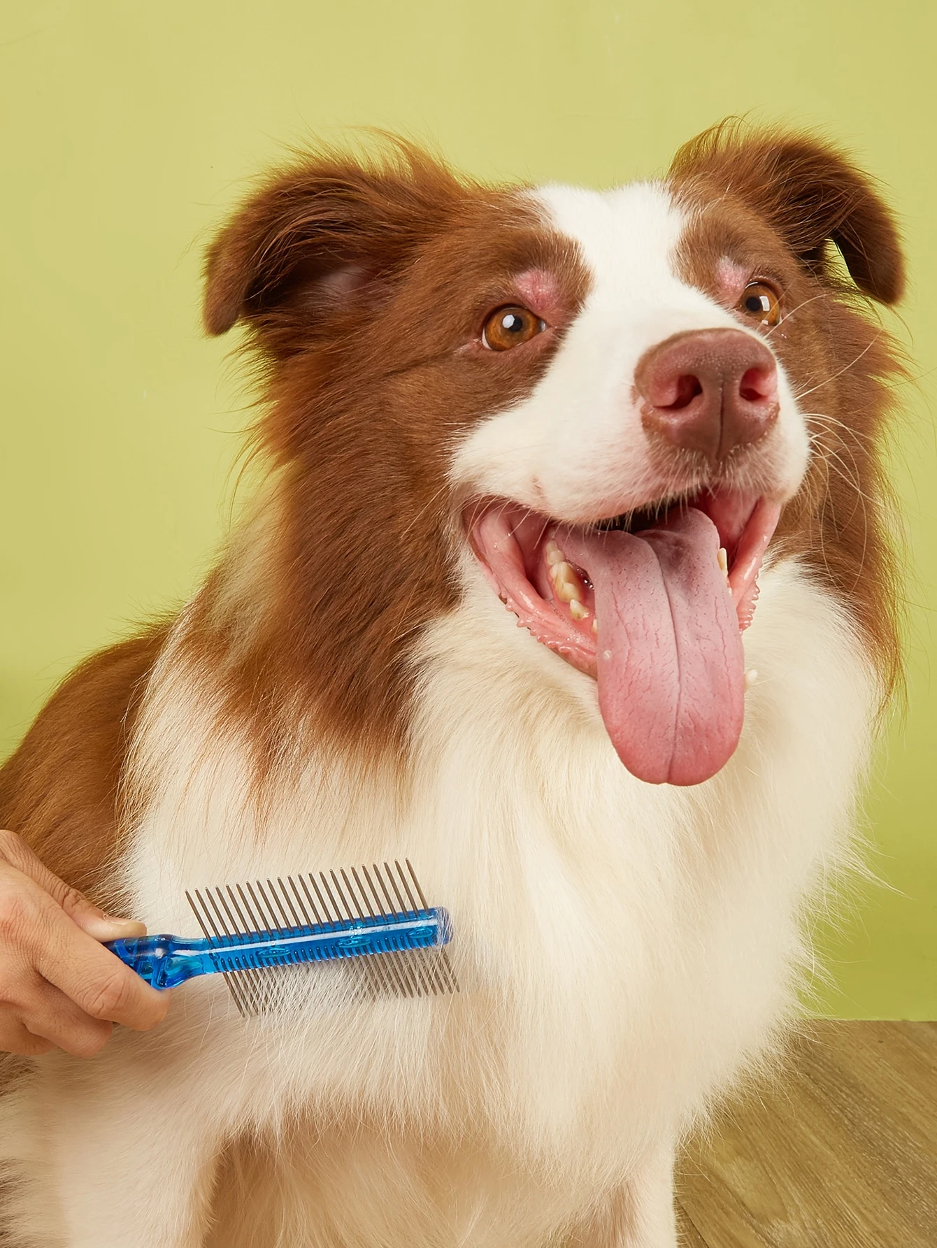 Detalle de los dientes redondos del peine para mascotas