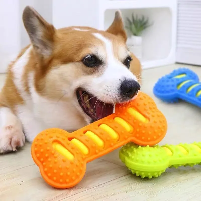 Juguete Hueso Chirriante para Perros – Resistente a Mordeduras - imagen 3