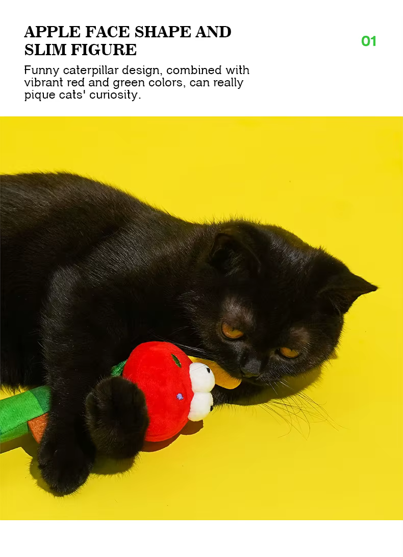 Pelota de peluche y detalles para atrapar