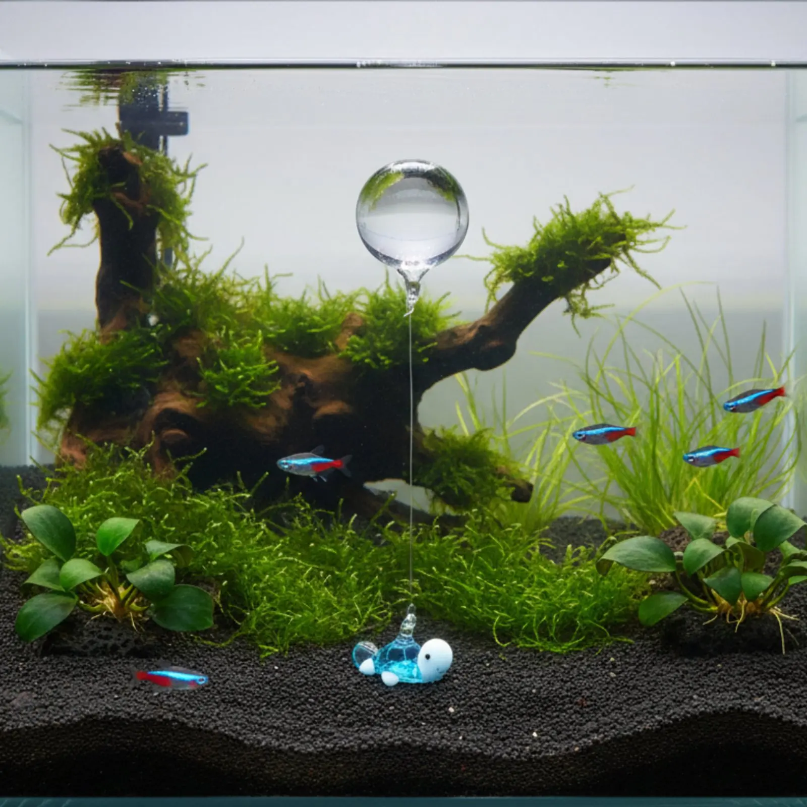 Decoración flotante de cristal para acuario y tortuga