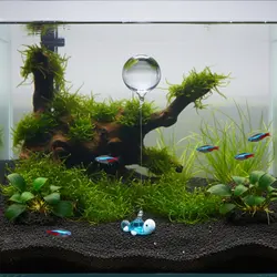 Decoración flotante de cristal para acuario y tortuga