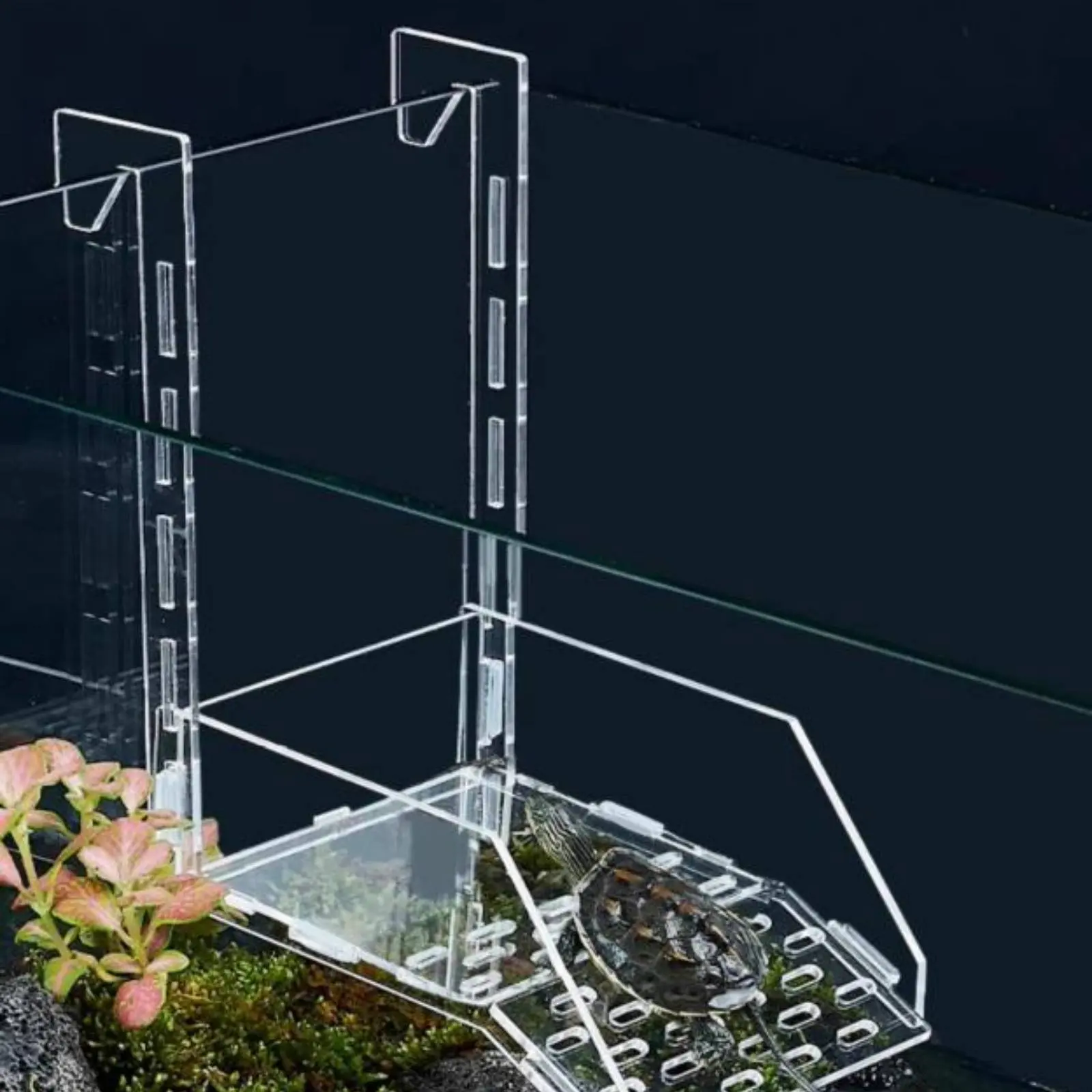 Plataforma acrílica para tortugas con escalera y barandillas altas - imagen 5