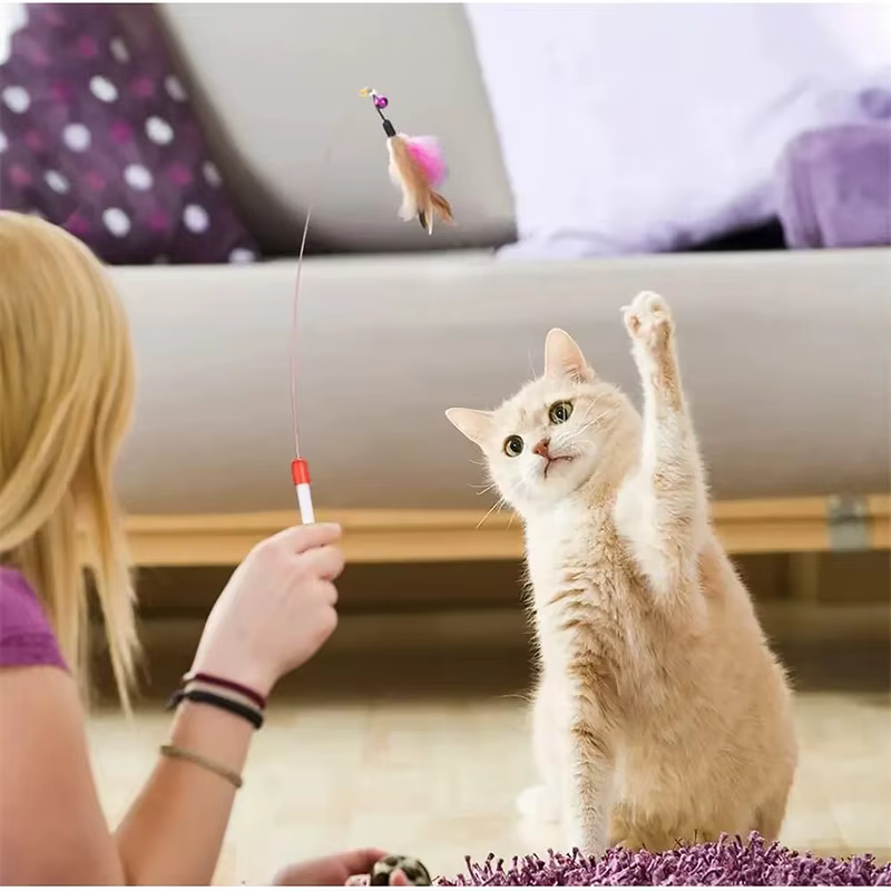 Gatito jugando con juguetes