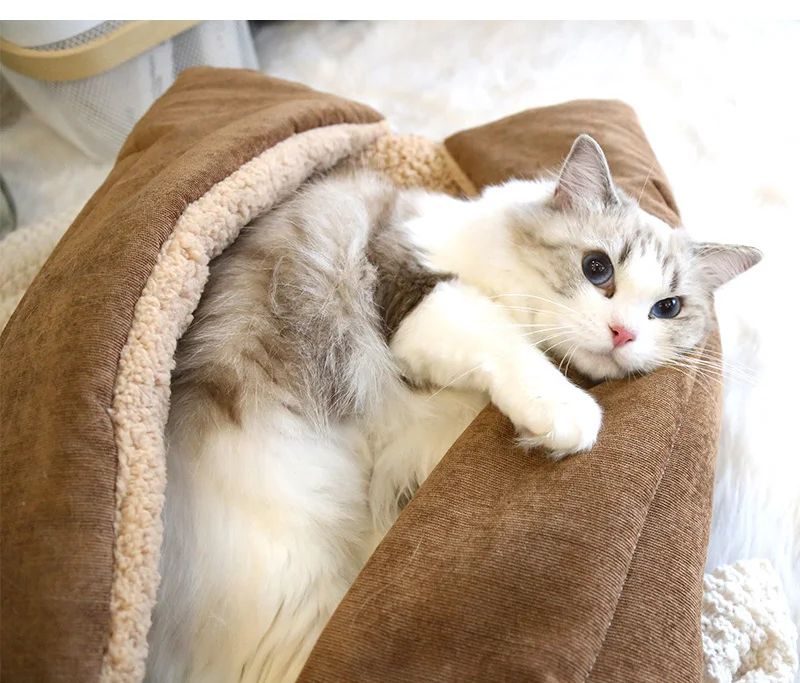Cuidado pawstrip