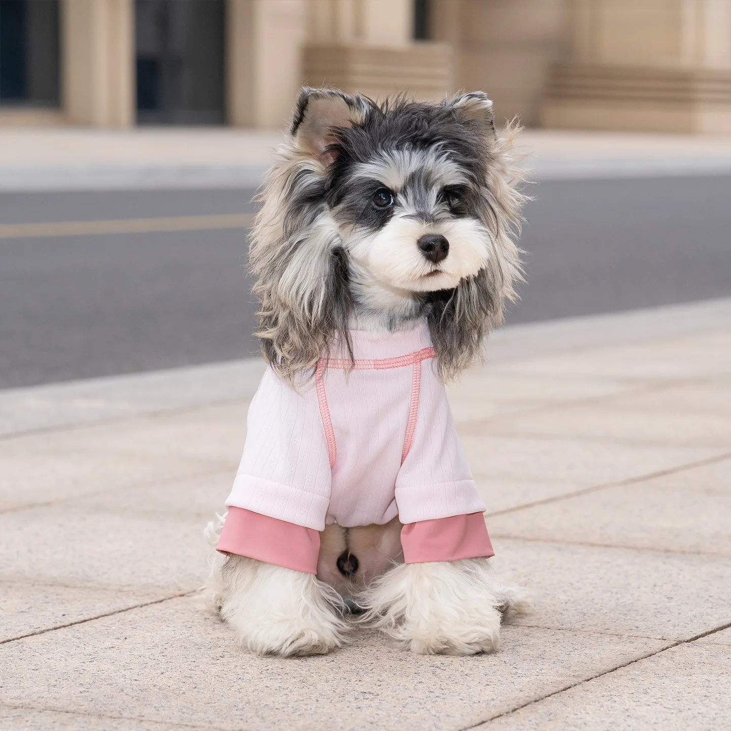 Mono ligero para perros pequeños de primavera y verano