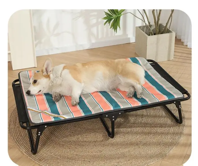 Cama plegable colocada en un jardín con perro acostado