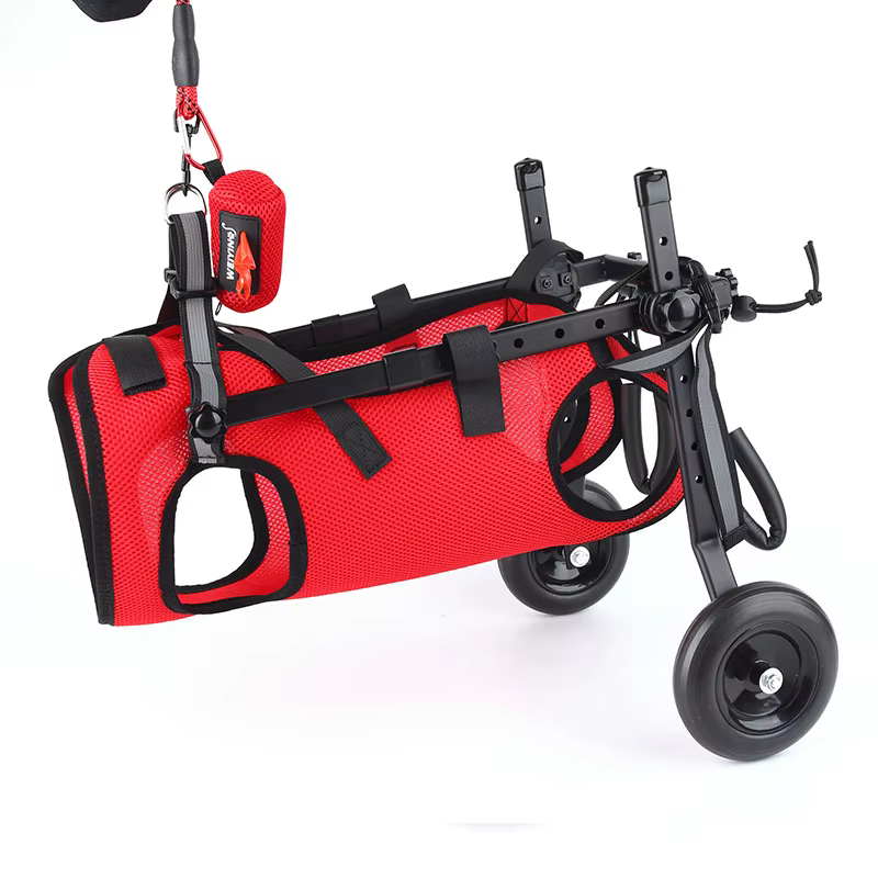 Carrito de movilidad para perros discapacitados –