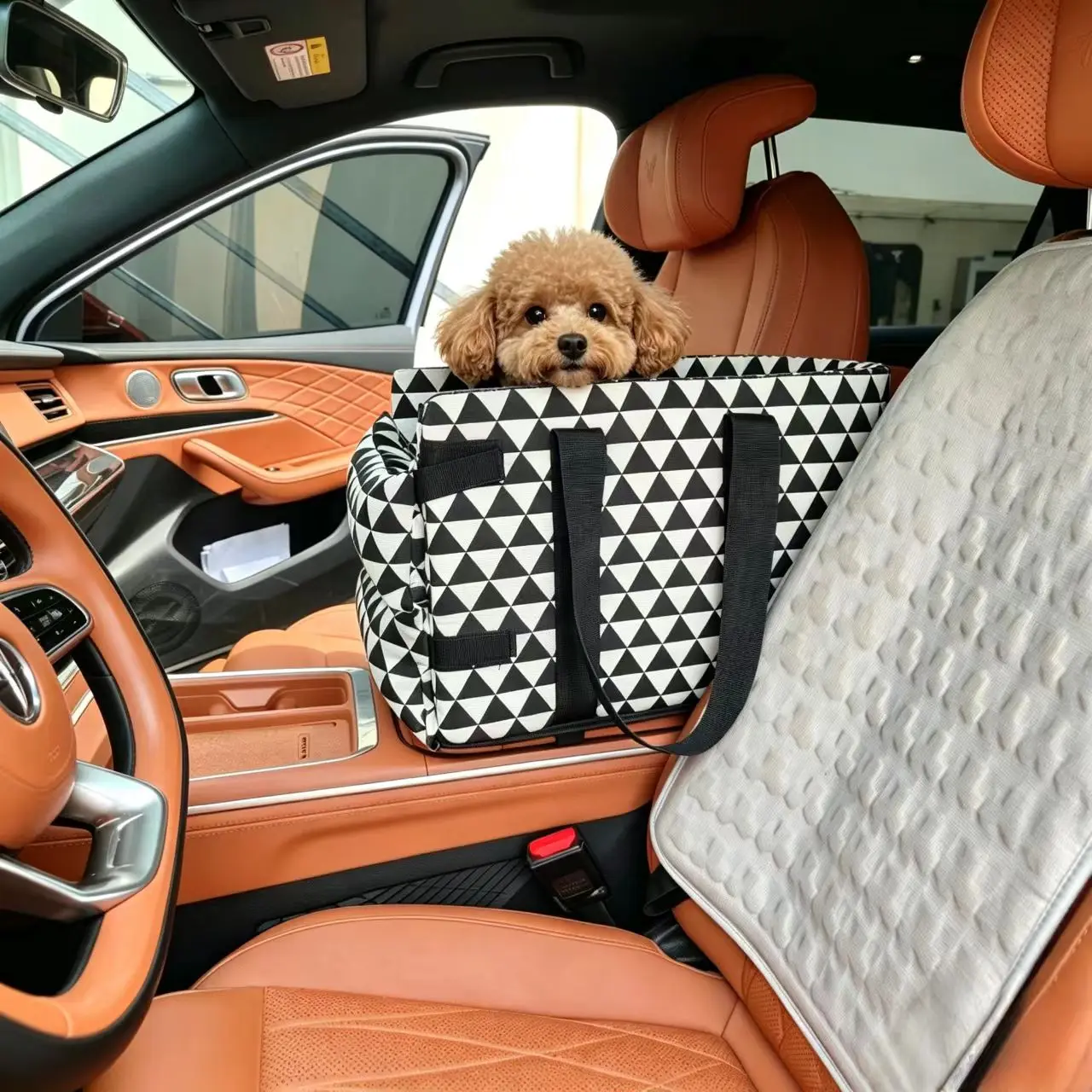 Transportín portátil seguro para gatos y perros pequeños, con asa - imagen 5
