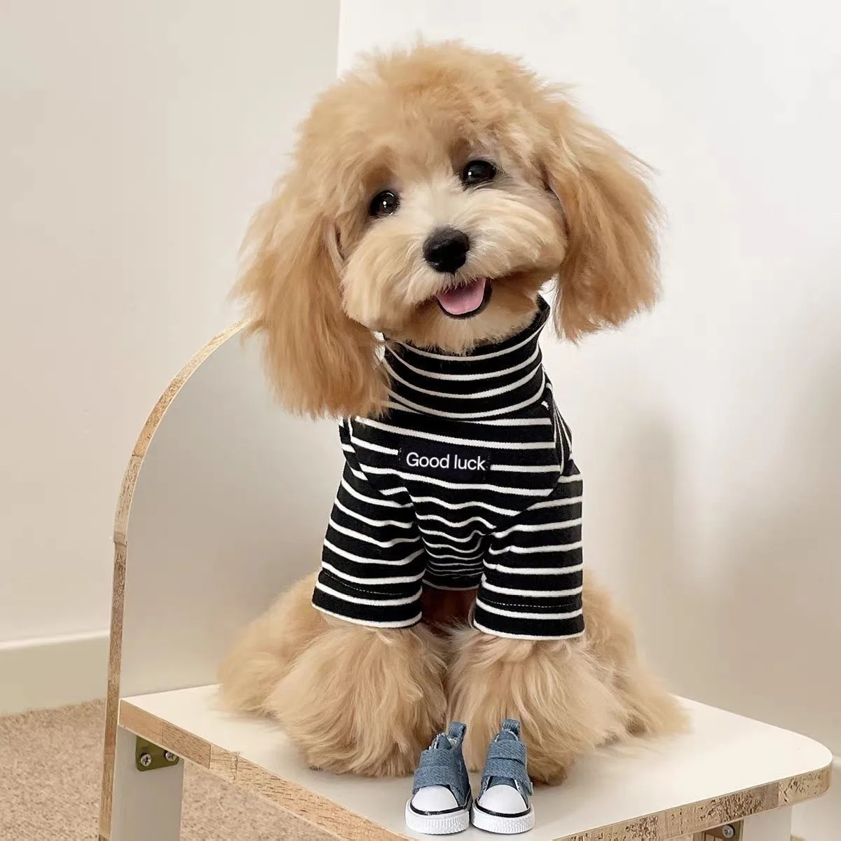 Camiseta a Rayas para Perros y Gatos – Top de Felpa - imagen 2